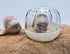 Joie Garlic Pod 8.6x8.6x7.2cm Food Wrap Storage The Cooks Kitchen 