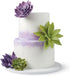 Wilton Gum Paste Cut Outs Set 9pc - Succulent Fondant Cutters The Cooks Kitchen Mandurah 