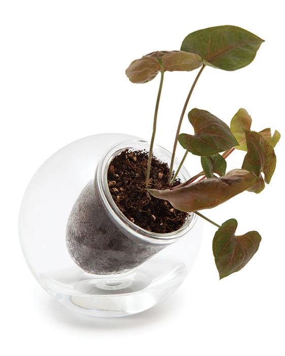 Cup O Flora Medium Tilt Self-watering Pot