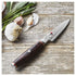 Miyabi 6000mct Shotoh/paring Knife 9cm Miyabi The Cooks Kitchen 