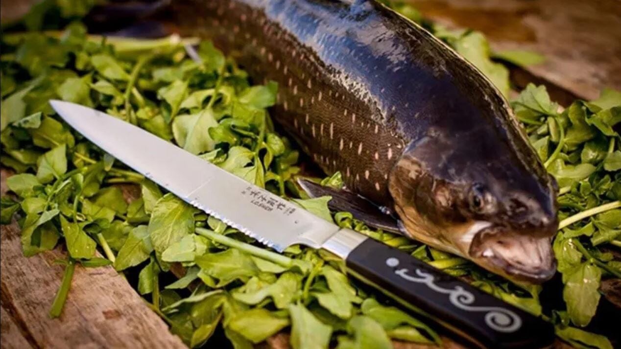 I.o Shen 195mm / 8" Msh Ryoba Slicer I.O Shen The Cooks Kitchen Mandurah 