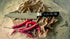 I.o Shen - Chefs Knife 240mm I.O Shen The Cooks Kitchen Mandurah 