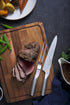 Global 2 Piece Carving Set G-313 Global The Cooks Kitchen 