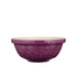 Mason Cash - In The Meadow Daisy Mixing Bowl 26cm/2.7l Purple Mixing Bowls The Cooks Kitchen 