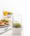 Kilner Glass Sprouting Set - 500ml