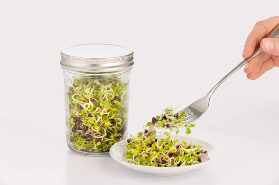 Kilner Glass Sprouting Set - 500ml