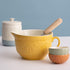 Mason Cash Home To Roost Set Of 4 Mini Bowls Mixing Bowls & Pudding Bowls The Cooks Kitchen 