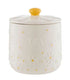 Price & Kensington Daisy Tea Jar Ceramic Hand Painted Flower 700ml Sugar, Coffee & Tea The Cooks Kitchen 