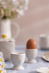 Price & Kensington Daisy Egg Cup Holder Set Of 2 Ceramic Hand Painted Servingware The Cooks Kitchen 