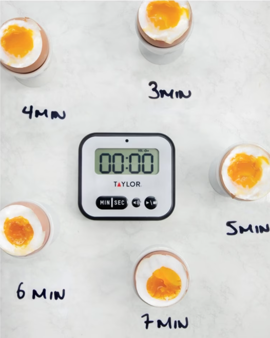 Taylor Pro Super Loud Digital 100 Minute Timer With Light Alert