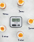 Taylor Pro Super Loud Digital 100 Minute Timer With Light Alert