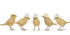 Dcuk Buzzy Bee Garden Birds Assorted
