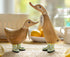 Dcuk Strawberry And Lemon Ducklings 