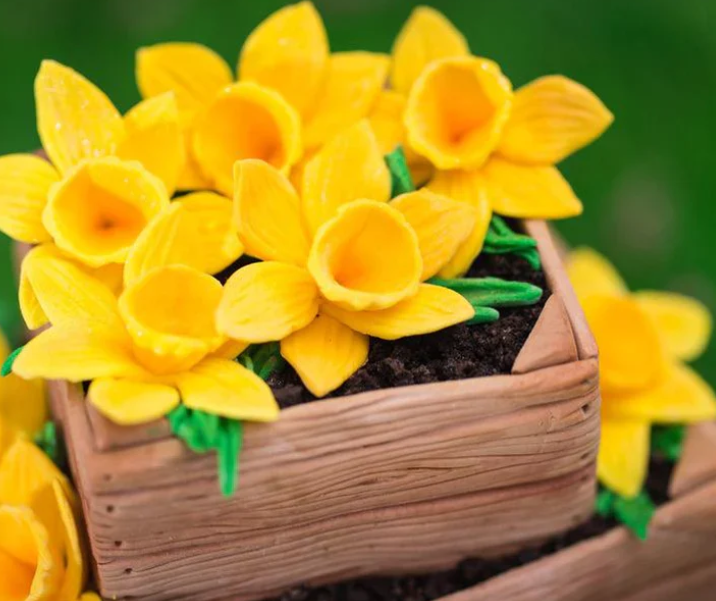 Katy Sue Silicone Mould Daffodils
