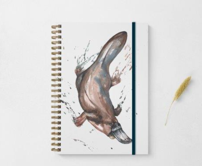 Meg Hawkins A5 Platypus Note Book