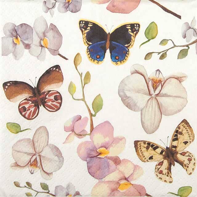 Paw Lunch Napkin 33cm Orchidea Butterfy Napkins The Cooks Kitchen 