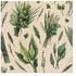 Paw Napkins 33cm We Care Herbal Picking Napkins The Cooks Kitchen 