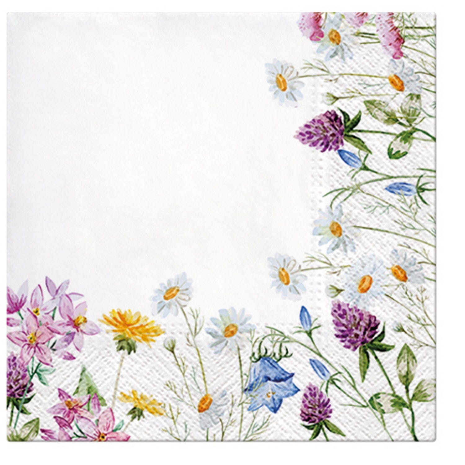 Paw Lunch Napkins 33cm Spring Frame Table Cloths & Napkins The Cooks Kitchen 