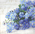 Paw Lunch Napkins 33cm Forget Me Not Napkins The Cooks Kitchen 