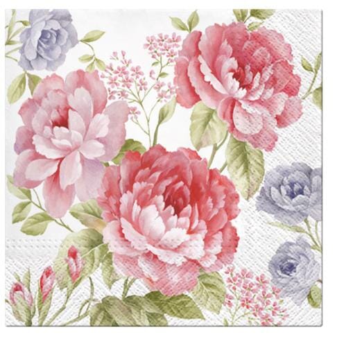 Paw Lunch Napkins 33cm Julietta Napkins The Cooks Kitchen 