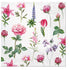 Paw Lunch Napkins 33cm Boons Of Garden Table Cloths & Napkins The Cooks Kitchen 