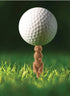Kikkerland Design Golf-pher The Gopher Golf Tees, Set Of 6