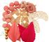 Iconic Cake Art Pink Floral Butterfly Topper Set