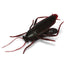 Fred Roach Clips - Food Bag Clips Brown 5x10x3.5cm