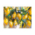 Lemon Tree Lane Surface Saver Chopping Boards & Surface Savers The Cooks Kitchen 