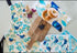 Allgifts Australia Apron (heavy Drill) - Blue Wren Aprons The Cooks Kitchen 