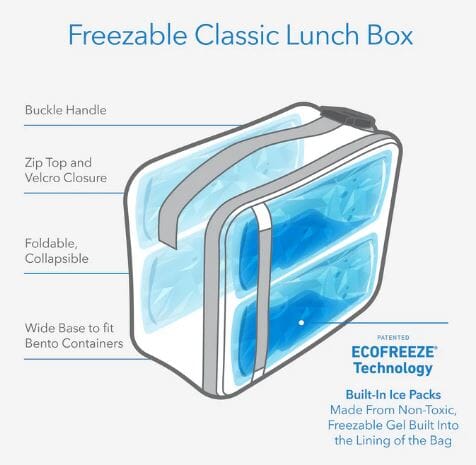 Packit Freezable Lunch Box - Sky Blue Lunch Boxes The Cooks Kitchen 