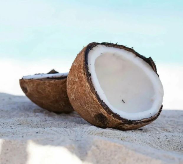 Milkbottle Candle, Small - White Driftwood & Coconut