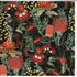 Card - Native Flowers Cards & Wrapping The Cooks Kitchen 