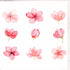 Card - Flowers Cards & Wrapping The Cooks Kitchen 