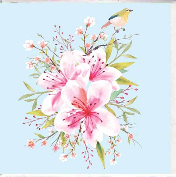 Card - Flowers & Bird Cards & Wrapping The Cooks Kitchen 