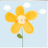 Card - Daisy Cards & Wrapping The Cooks Kitchen 