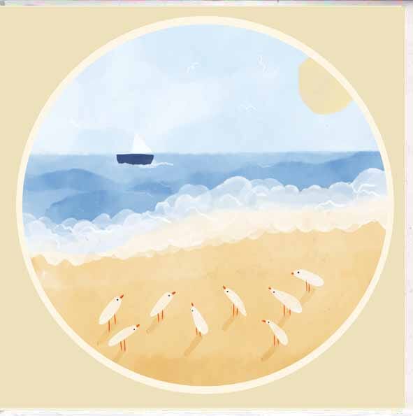 Card - Sail Boat Cards & Wrapping The Cooks Kitchen 