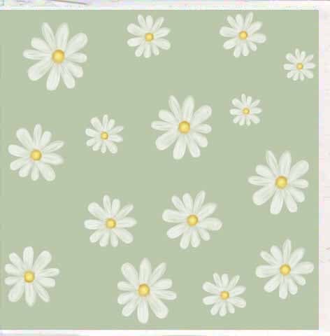 Gift Card - Daisies Cards & Wrapping The Cooks Kitchen 