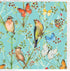 Gift Card Birds And Butterflies Cards & Wrapping The Cooks Kitchen 