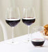 Stanley Rogers Tamar Red Wine 518ml 6pc Glassware The Cooks Kitchen 