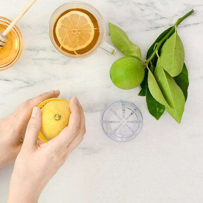 Avanti Citrus Squeezer Gadgets The Cooks Kitchen 