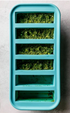 Avanti Food Cube Freezing Tray 6 Portion/125ml 1/2 Cup