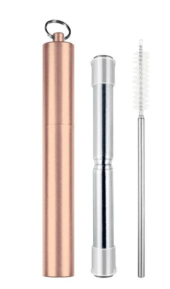 Avanti Telescopic Travel Straw - Champagne