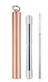 Avanti Telescopic Travel Straw - Champagne