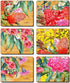 Cinnamon Native Flowers Coasters - Set Of 6 Placemats & Coasters The Cooks Kitchen 