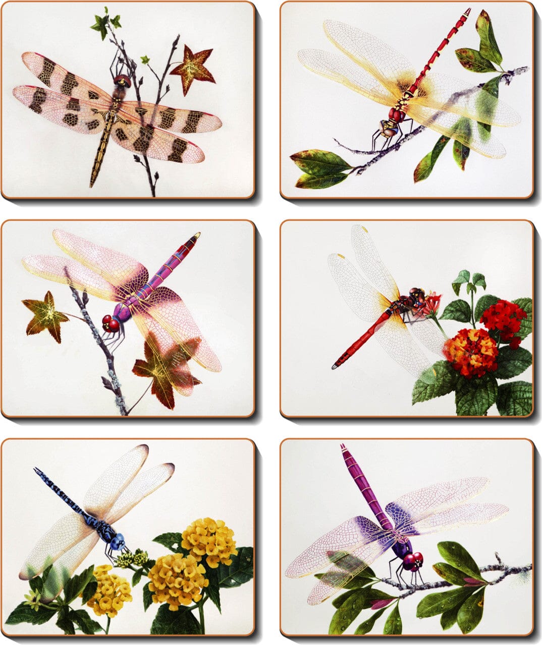 Cinnamon Delicate Wings Placemats Placemats & Coasters The Cooks Kitchen 