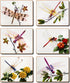 Cinnamon Delicate Wings Placemats Placemats & Coasters The Cooks Kitchen 
