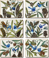 Cinnamon Blue Wren Placemats - Set Of 6