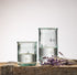 Vetreria Etrusca Bee Highball Tumbler 575ml