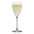 Ecology Classic Prosecco Glasses - 200ml Set Of 4 Glassware The Cooks Kitchen 